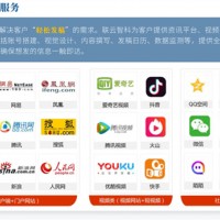 账号运营有哪些服务-天津账号运营服务-联云智科社交媒体